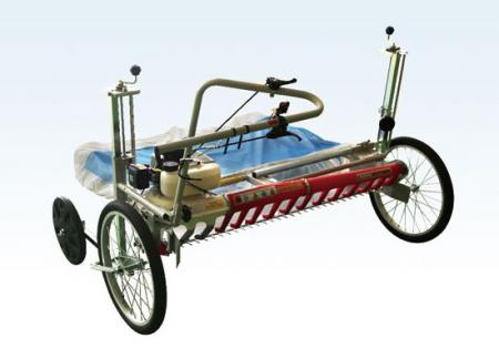 TC-110D自動大蔥剪葉機(jī)